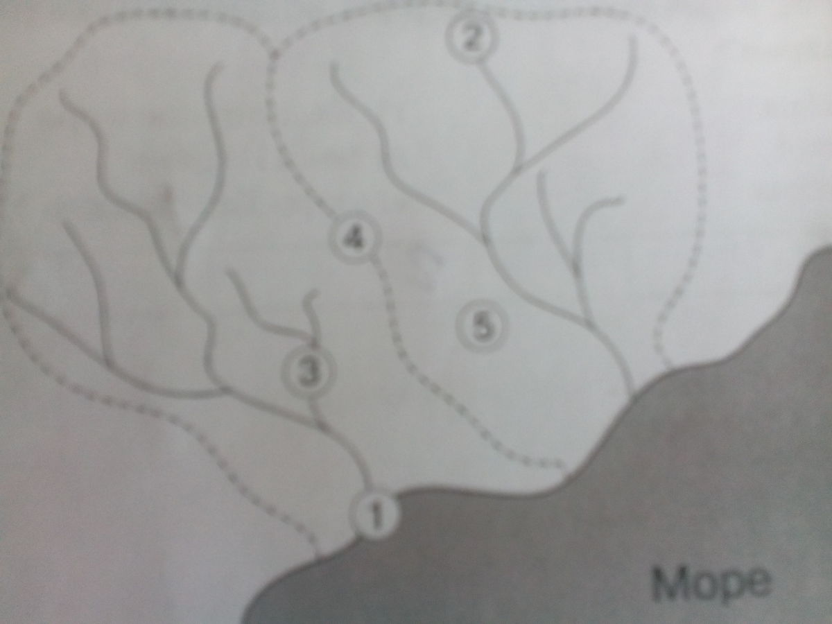 Водораздел 5 букв. На рисунке обозначьте %. Лёгкий рисунок географического объекта. Нарисовать рисунок географическим объектом. Какой цифрой на рисунке обозначено Устье?.