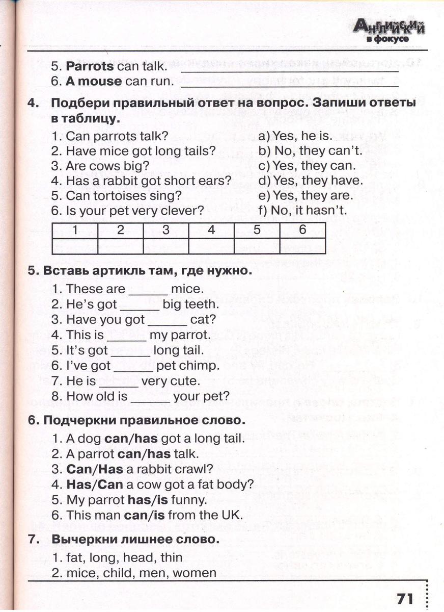 A mouse has got a long tail. Can Parrots talk ответ на вопрос. Подбери правильный ответ на вопрос can Parrots. Have got long Tails.