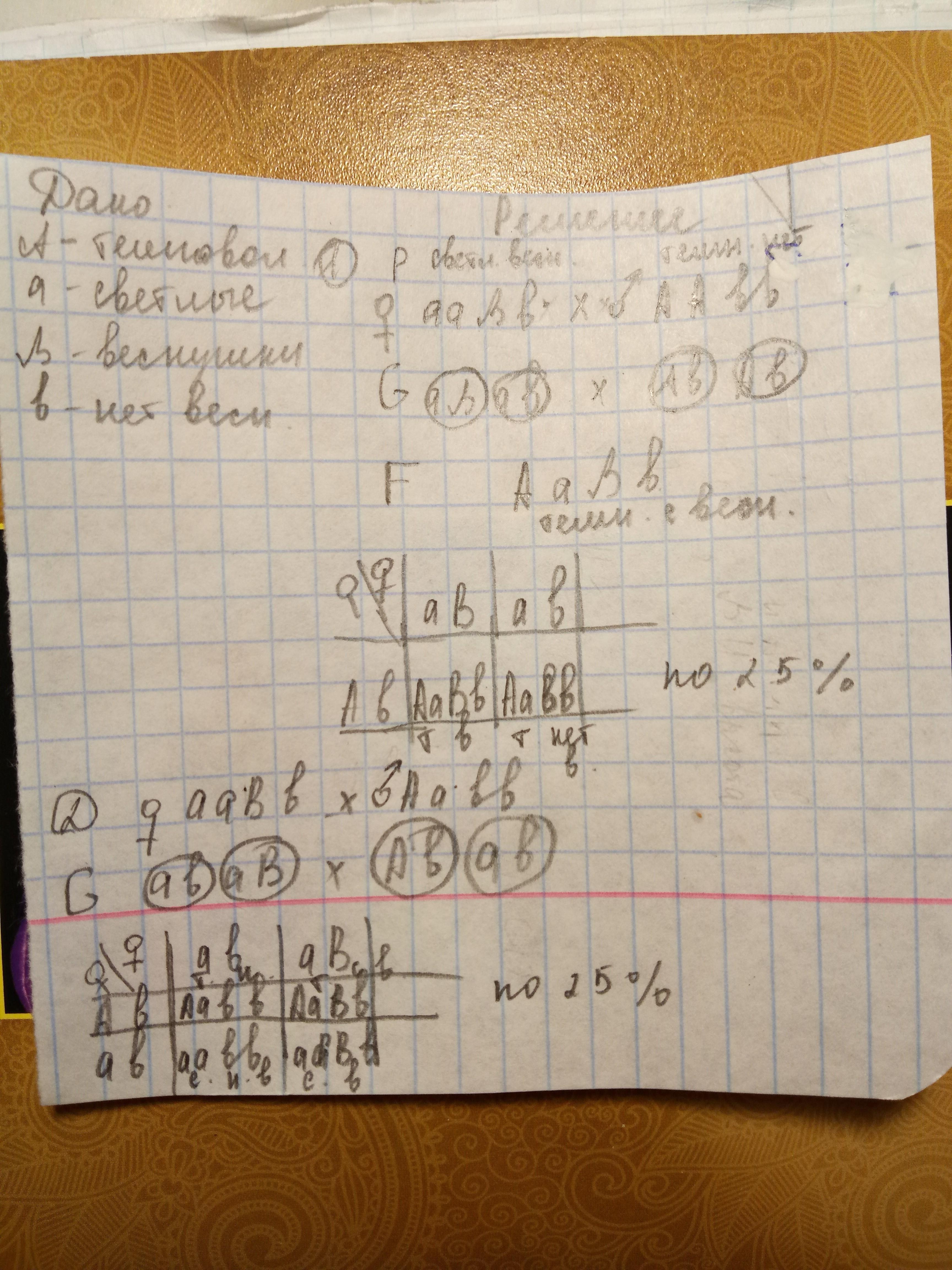 оба родителя с курчавыми волосами. у человека наличие веснушек является доминантным признаком. у человека наличие веснушек является доминантным признаком. веснушки доминантный ген. отец с курчавыми волосами доминантный признак.