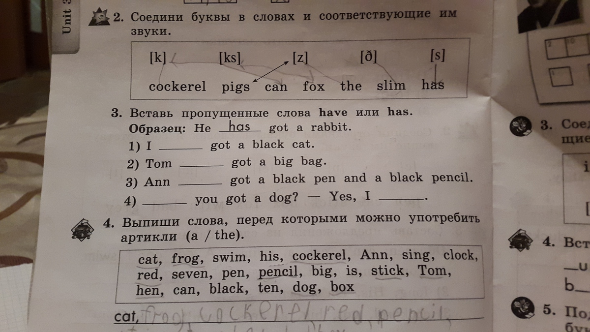 Переделай по образцу his dog is black