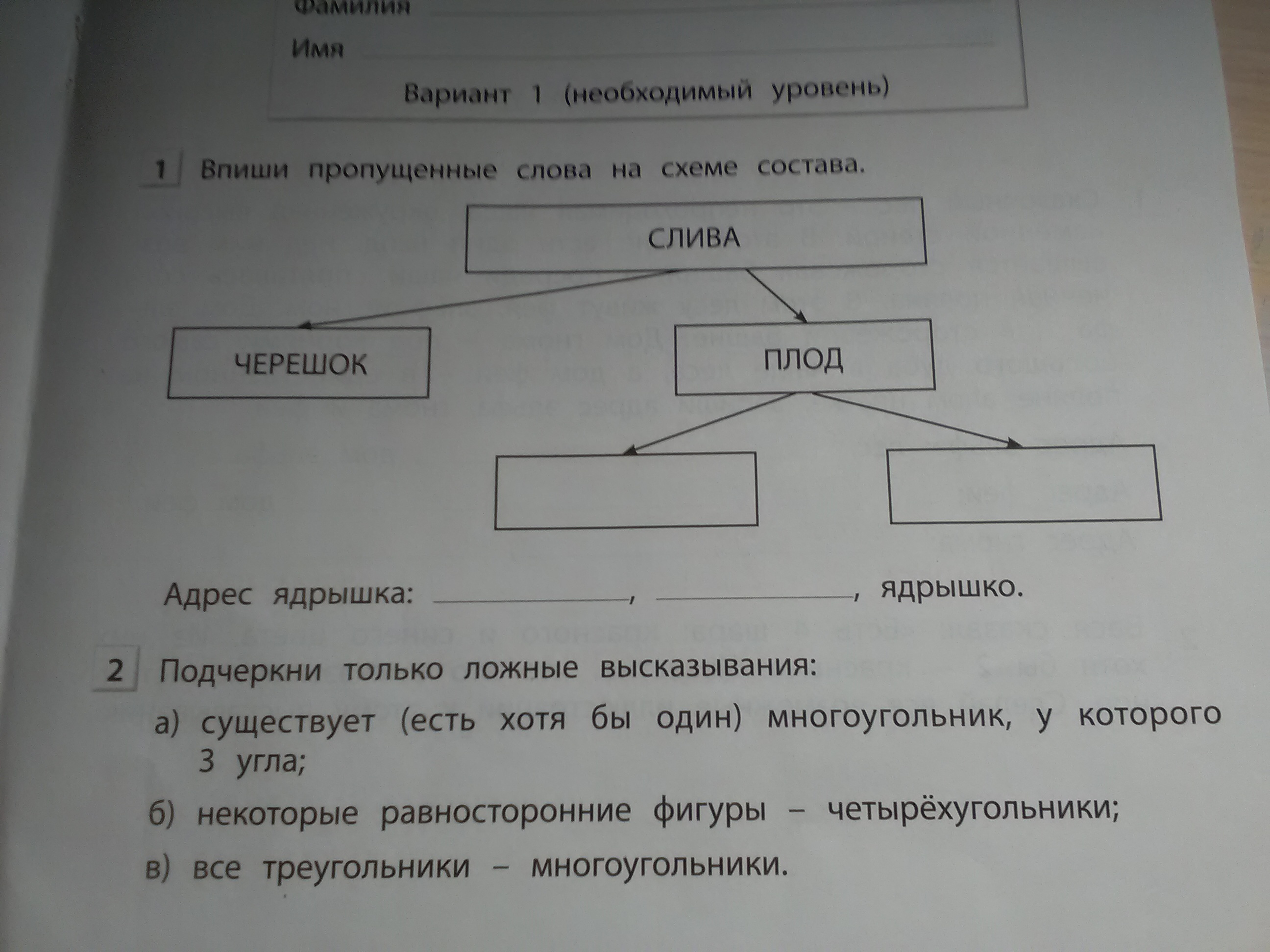 Необходимый вариант. Впиши пропущенные слова на схеме состава слива. Впиши пропущенные слова в схеме состава. Впиши пропущенные слова на схеме состава слива черешок плод. Схема состава серебристый.