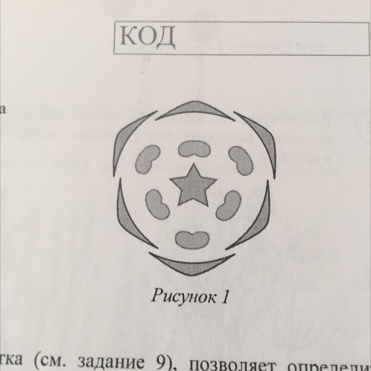 К какому классу относится растение диаграмма цветка которого показано на рисунке