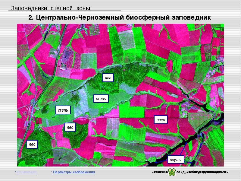 Стрелецкая степь курск карта