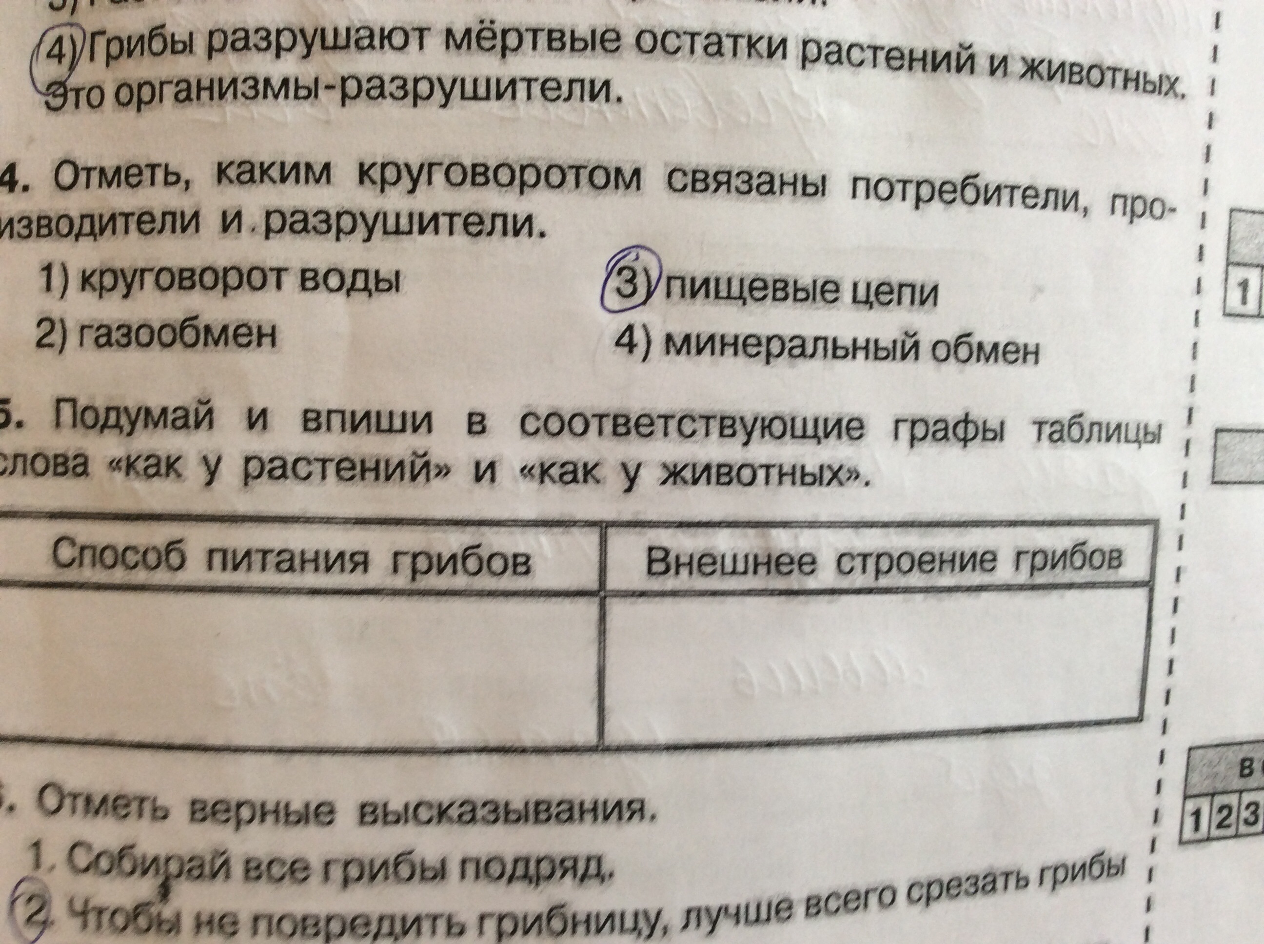 Впишите в соответствующие графы таблицы. Впишите в соответствующие графы. Впиши в соответствующие графы таблицы данные слова. Впиши в соответствующие графы таблицы данные слова грибов.