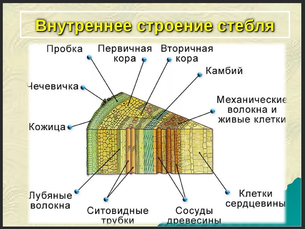 Слой изображения это