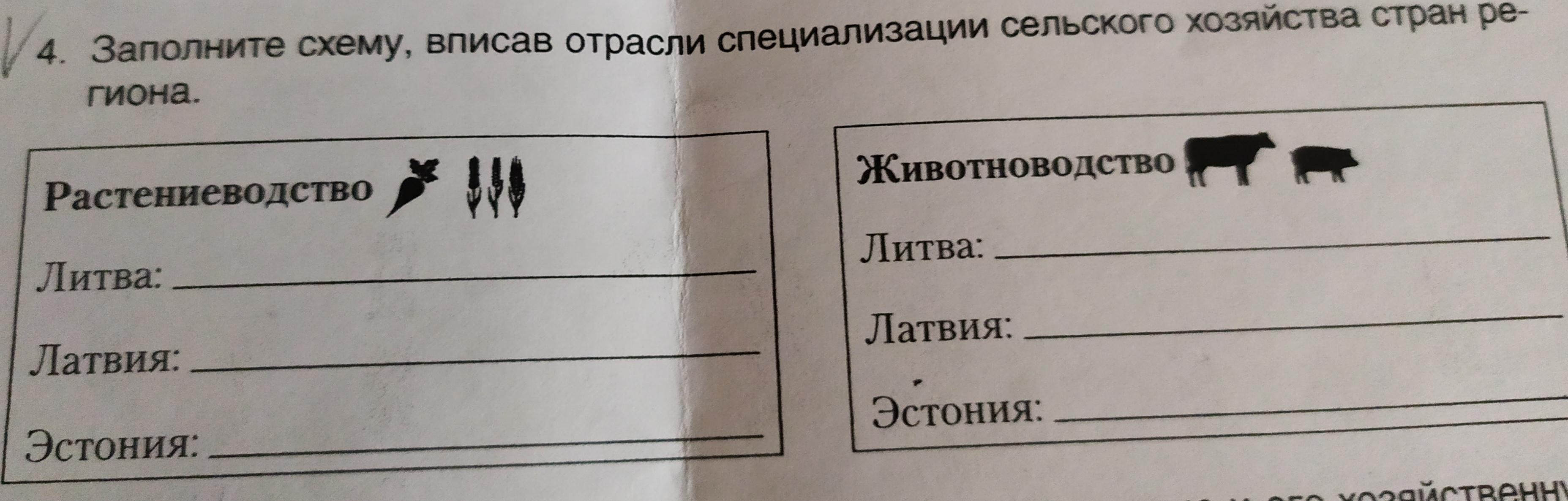 Заполните схему хозяйство. Заполнить схему , выписав в неё названия животных. Впиши в схему названия отраслей экономики. 5 Схема заполните схему животные герои в рассказах. Перерисуйте в тетрадь и дополните схему.