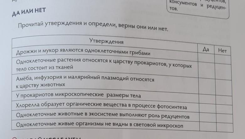 Прочитайте утверждения. Выберите верное утверждение о мукоре. Прочитай текст Summerhill и определи верны ли утверждения ниже верны.