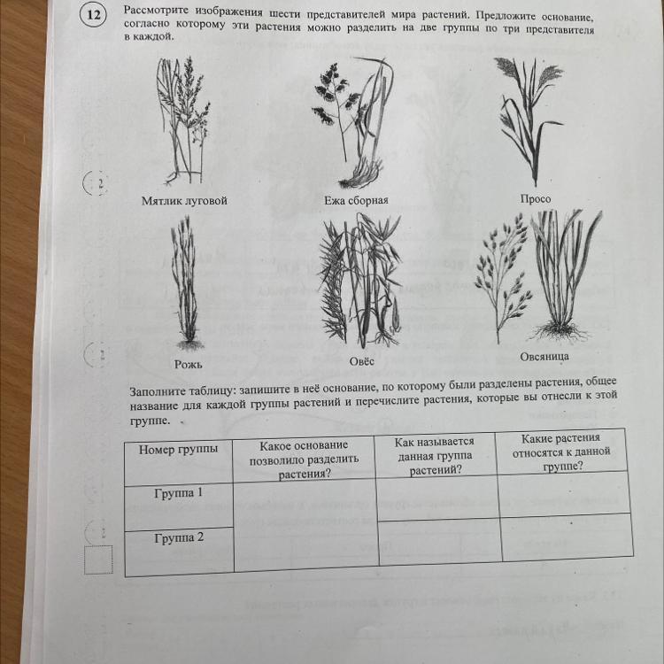 Рассмотрите изображение шести