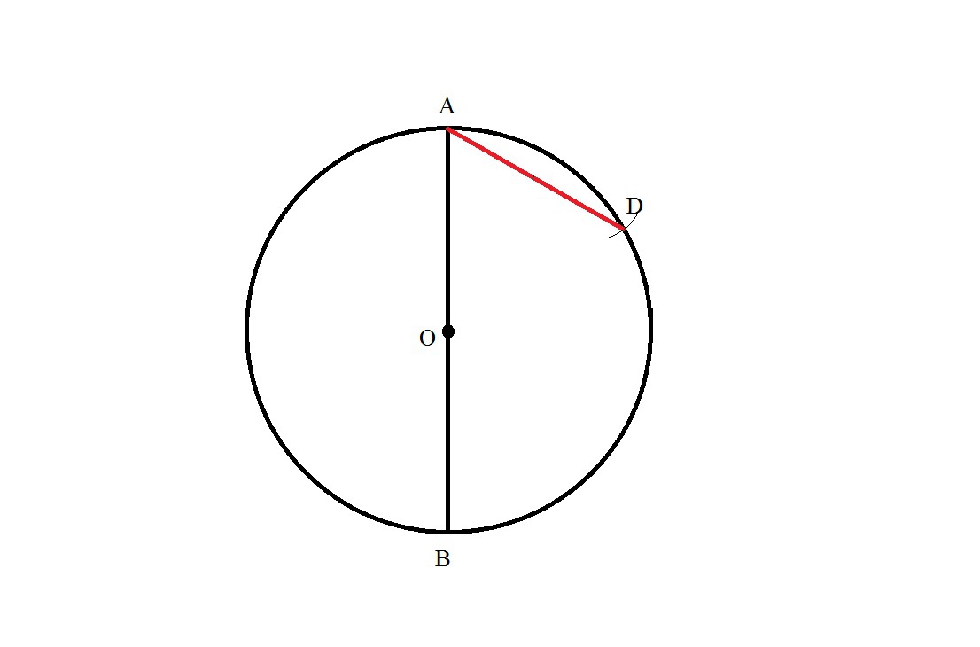 На рисунке cd диаметр окружности. Вписанный угол 180 градусов. Хорда под углом 180 градусов. Дуга 180 градусов. Центральный угол 180 градусов.