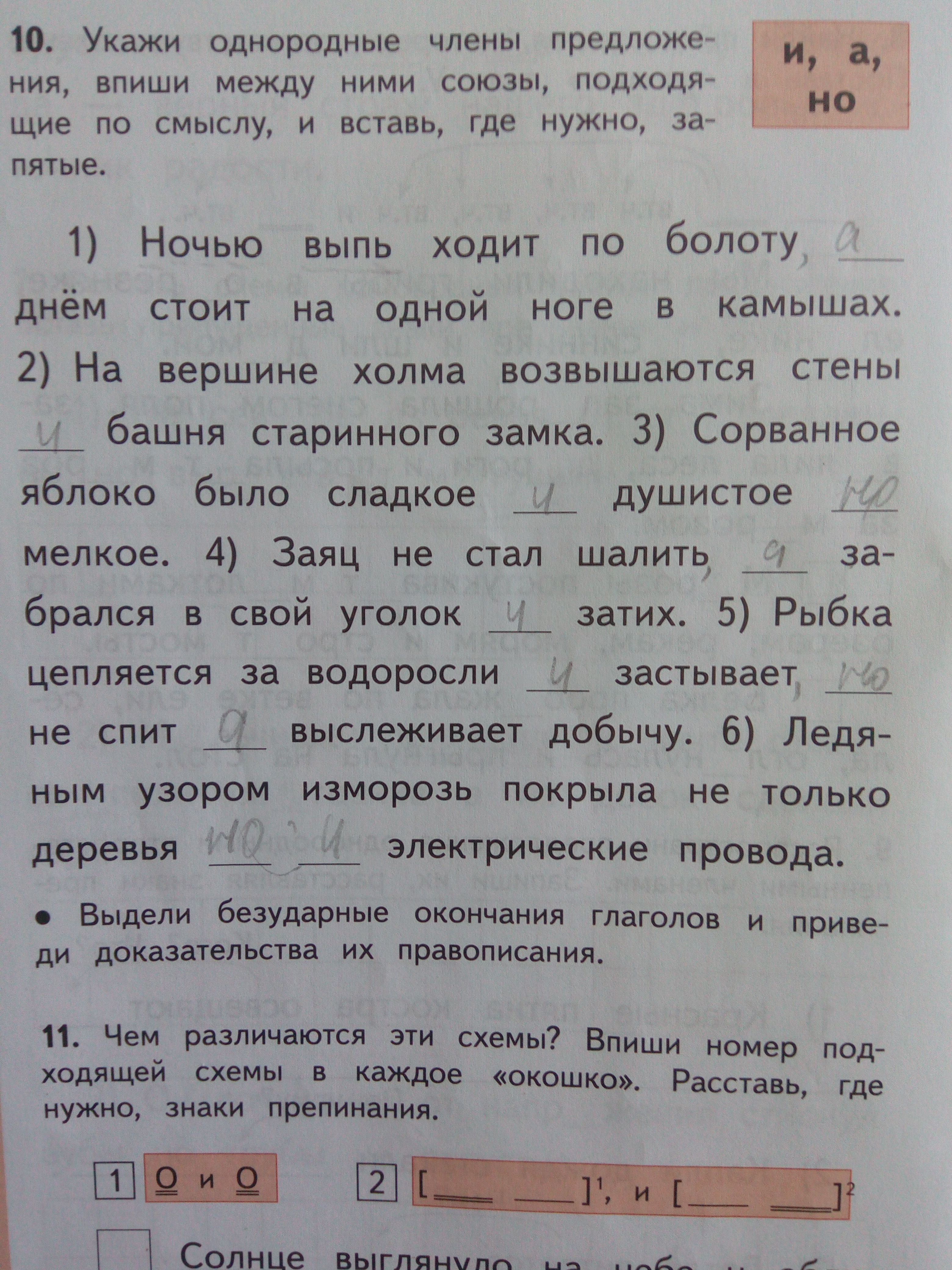 Укажи однородные. Однородные члены предложения. Укажи однородные члены. Укажи однородные члены ночью выпь ходит. Вставьте подходящие по смыслу Союзы, где нужно- запятые..