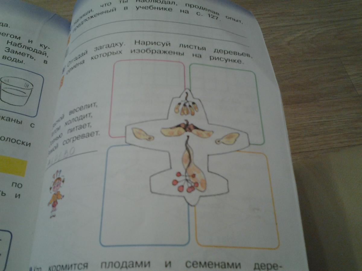 На рисунке 56. Нарисуй листья деревьев семена которых изображены на рисунке. Листья деревьев семена которых изображены на рисунке отгадай загадку. Отгадай загадку Нарисуй листья деревьев семена которых изображены. Класс третий отгадай загадку Нарисуй листья деревьев семена которых.