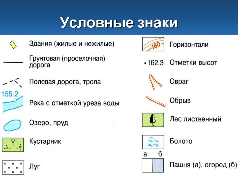 Условное обозначение дерева на плане местности