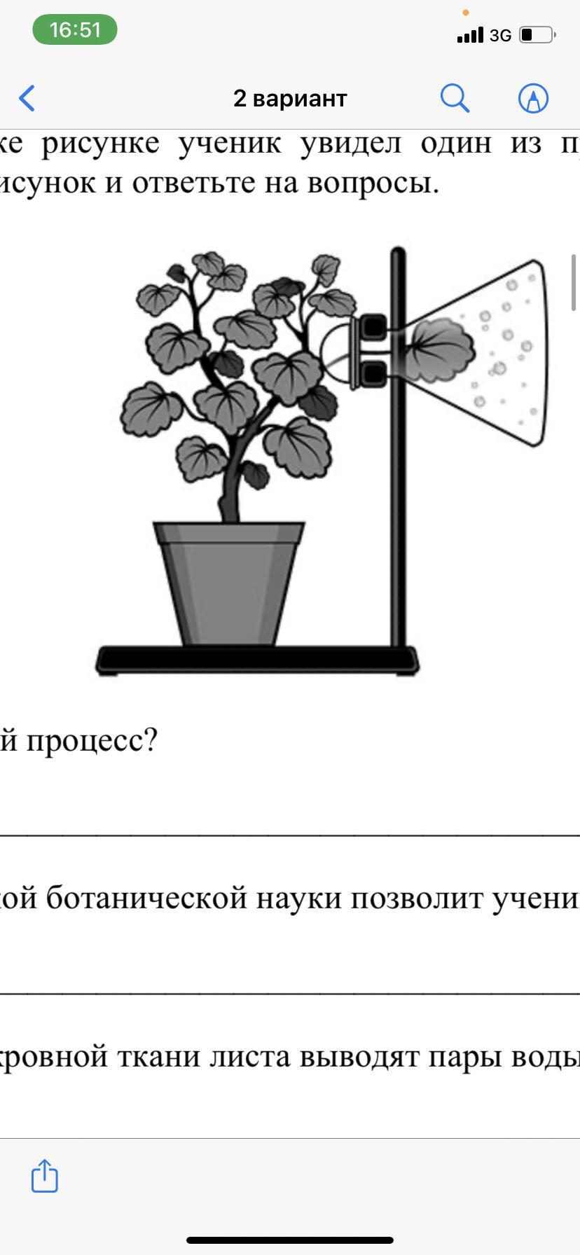 Как называют данный