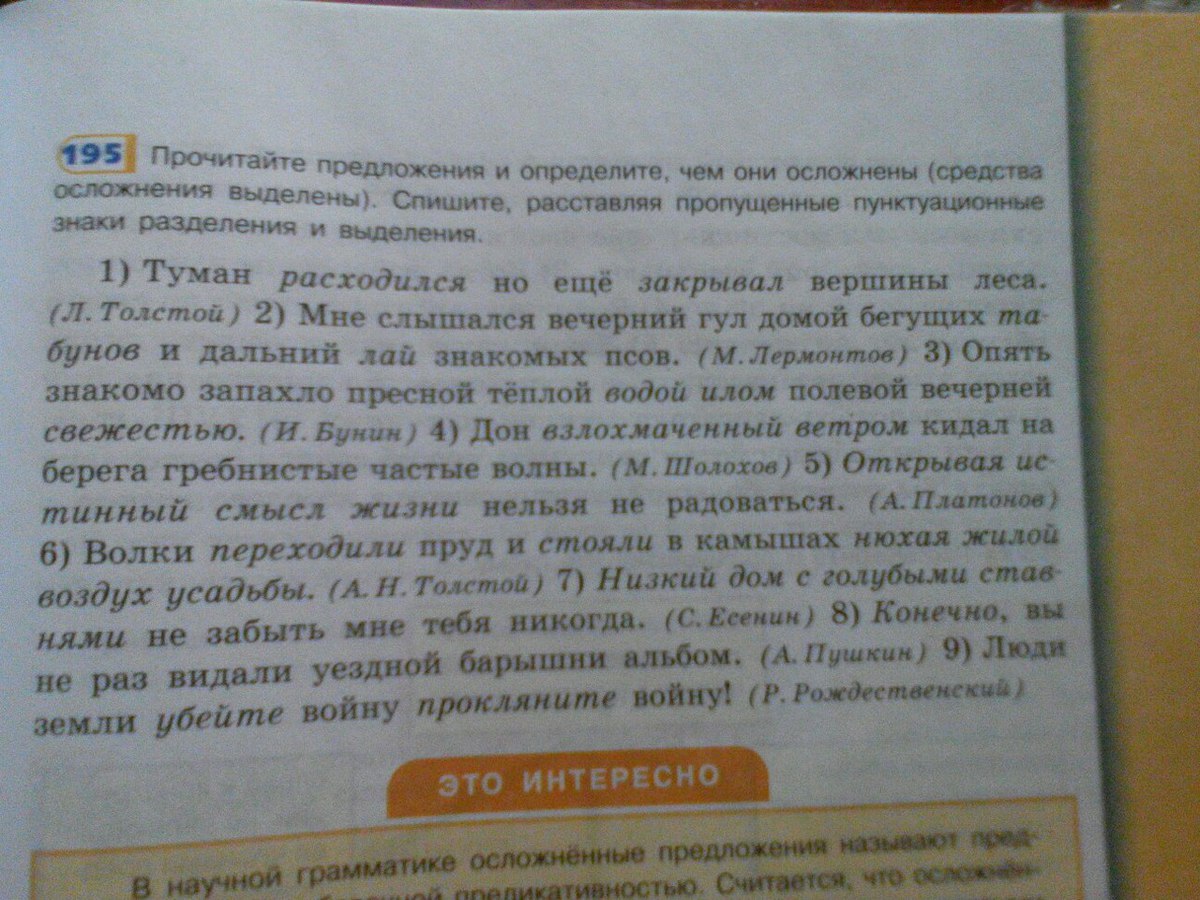 Молодое дерево на вершине туман. Лес горы туман. Горы в тумане. Туманные горы. Лес горы туман.