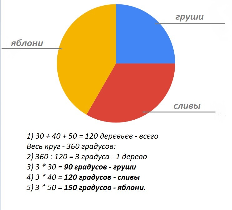 Диаграмма 40 30 30. Круговая диаграмма сада. Сад диаграмма. Начертите диаграмму в саду растет 30 груш 40 слив и 50 яблонь диаграмма. В саду растет 30 груш 40 слив и 50 яблонь постройте круговую диаграмму.