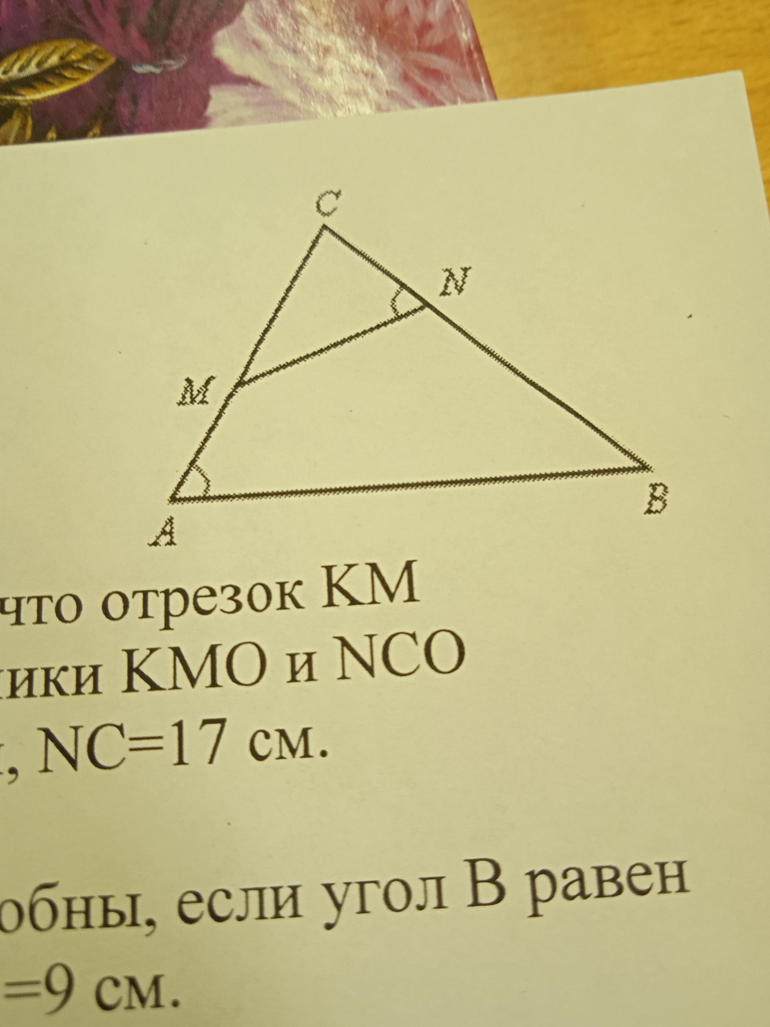 На рисунке угол а углу n найти подобные треугольники на рисунке и доказать их подобие