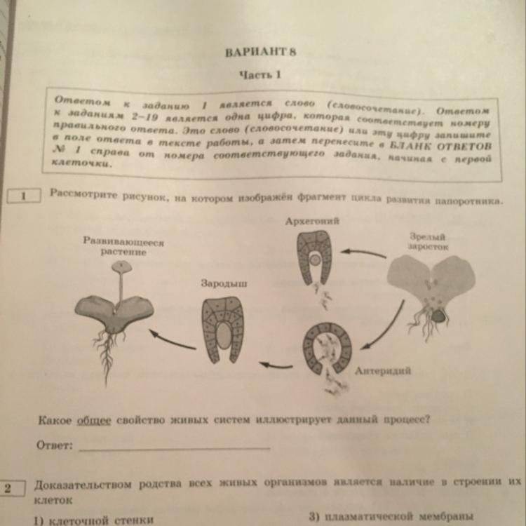 Какое общее свойство живых систем иллюстрирует данное изображение гепард