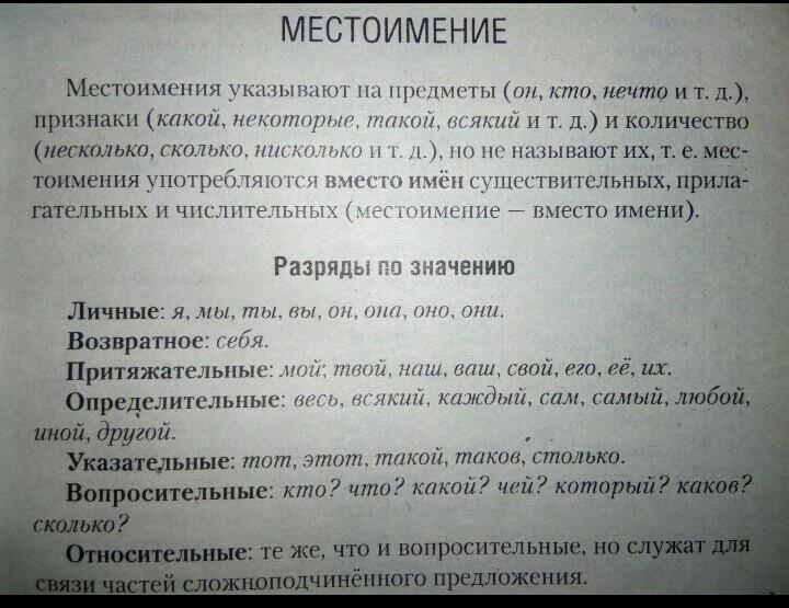 Домик белки в лесу. Жила белка в лесу ни. Акимушкин жил был ежик. Жизнь белки в лесу. Беличье дупло.