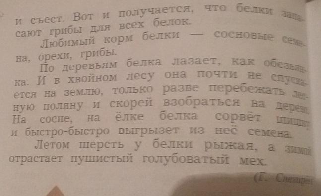 Прочитай текст какая. Текст повествование белка. Текст повествование о белке. Придумай о белке текст другого типа в качестве доказательства. Текст про белку повествовательный текст.