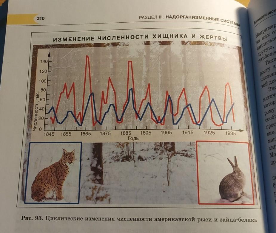 Проанализируйте рисунок 9