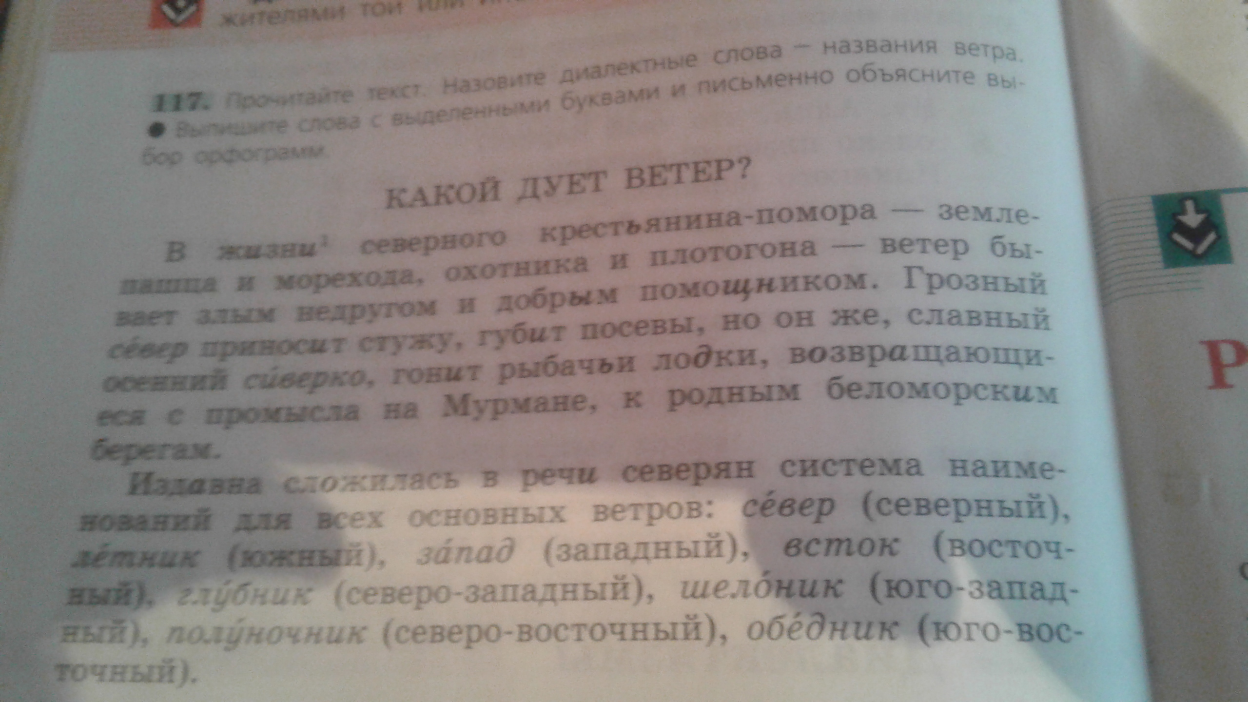 Выпиши слова с выделенными буквами. Выпиши из текста объяснение выделенного слова. Ы или и письменно объясните условия выбора. Выпишите из текста красный фон.