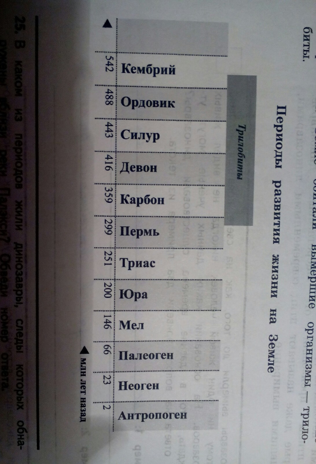 Отметь на схеме промежуток времени в течение которого земле обитали динозавры