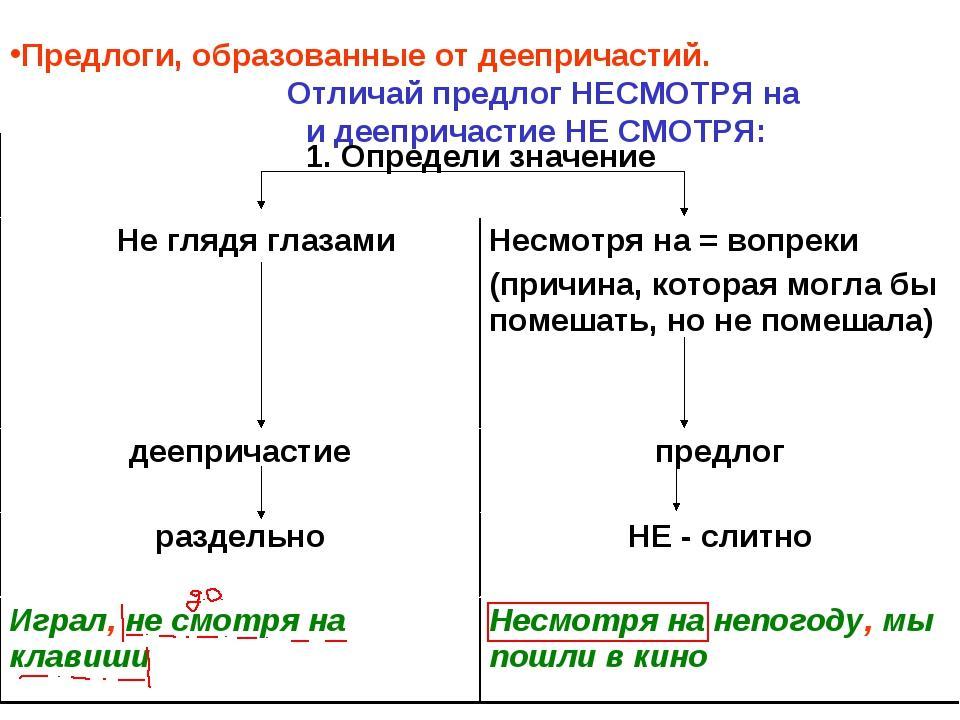 Не смотря по сторонам. Предлоги образованные от деепричастий. Несмотря деепричастие. Отличие предлогов от деепричастий. Предлоги образуются от деепричастий..