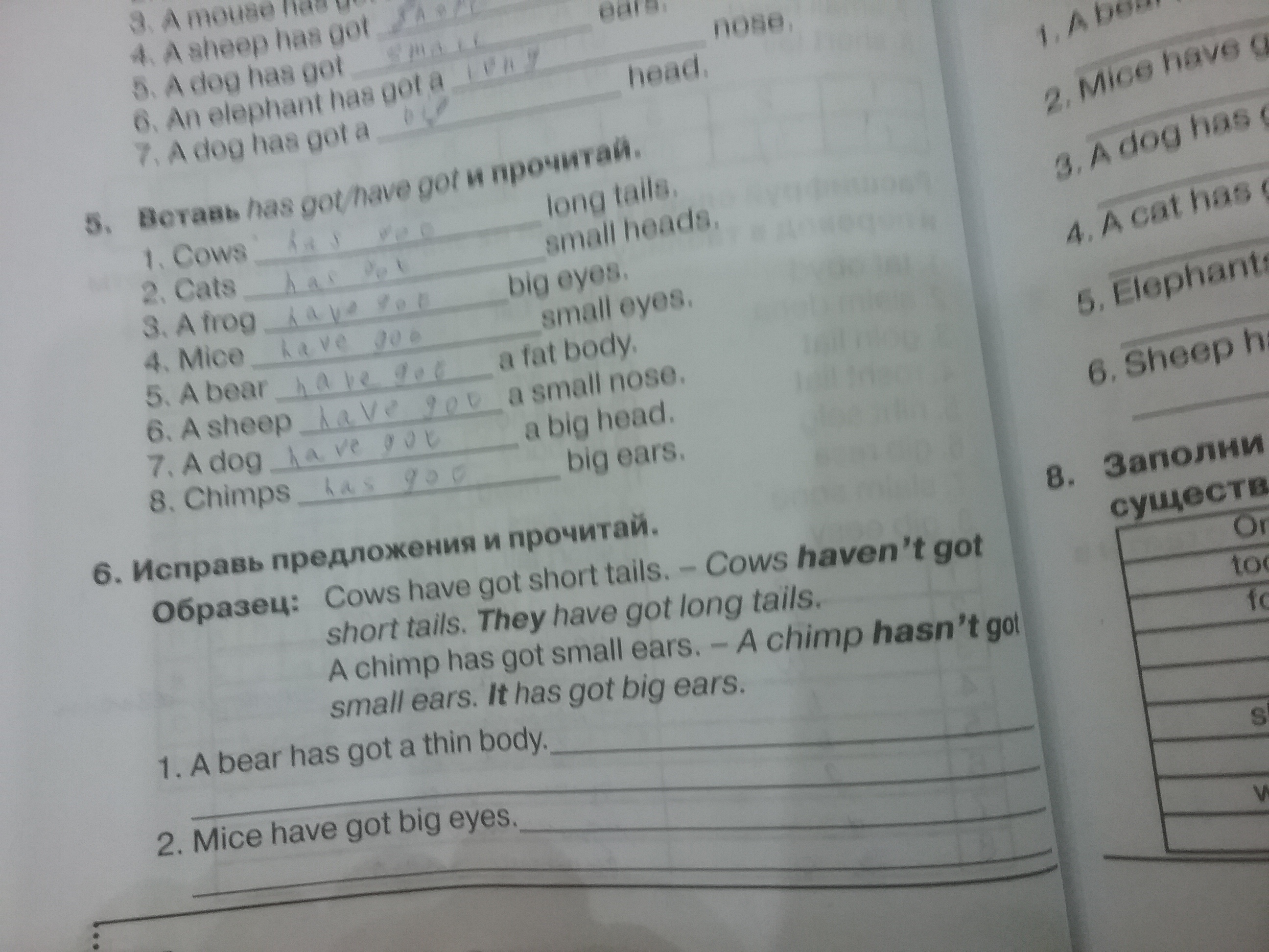 Перевод с английского на русский has. Cows have got или has got. Исправь предложения и прочитай. Has got /have got Cows. Cows have got long Tails.