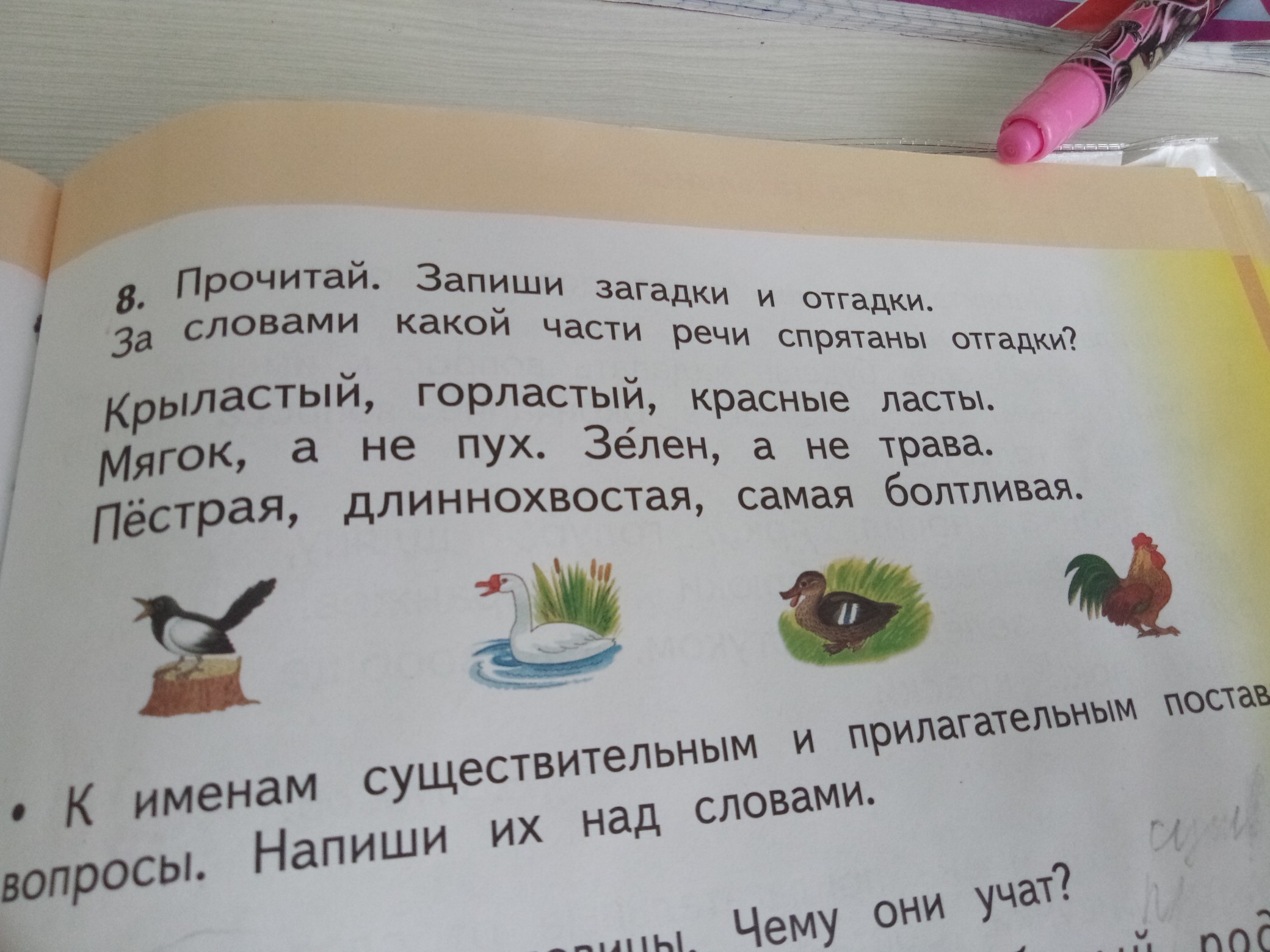 Загадка 3 слова. Загадки запиши отгадки. Прочитай загадку запиши отгадку. Прочитай и отгадай загадку. Записать любую загадку и отгадку.