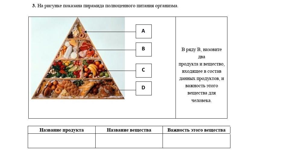 Пищевая пирамида 5 класс технология рисунок