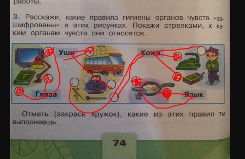 Условные знаки к правилам органов чувств