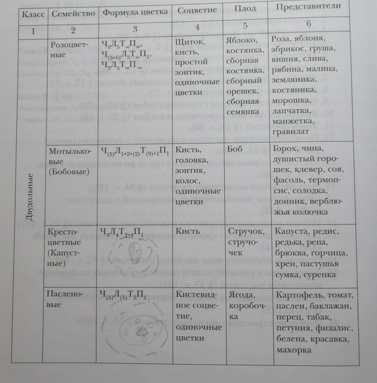 Вопросы по биологии 10 класс