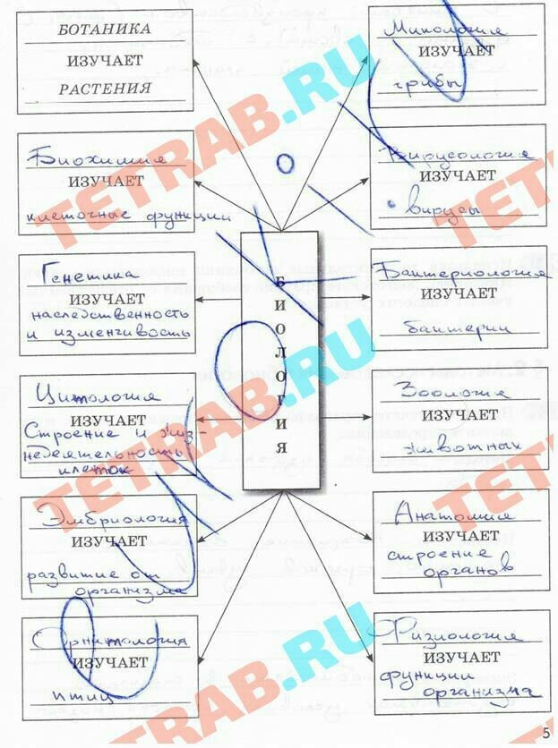 Изучив текст параграфа и рисунок. Биология параграф 1 наука о живой природе. Наука о живой природе 1 параграф рабочая тетрадь 5 класс. Изучив материал параграфа. Изу́чив материал параграфа и рисунок 1 учебника заполните схему.