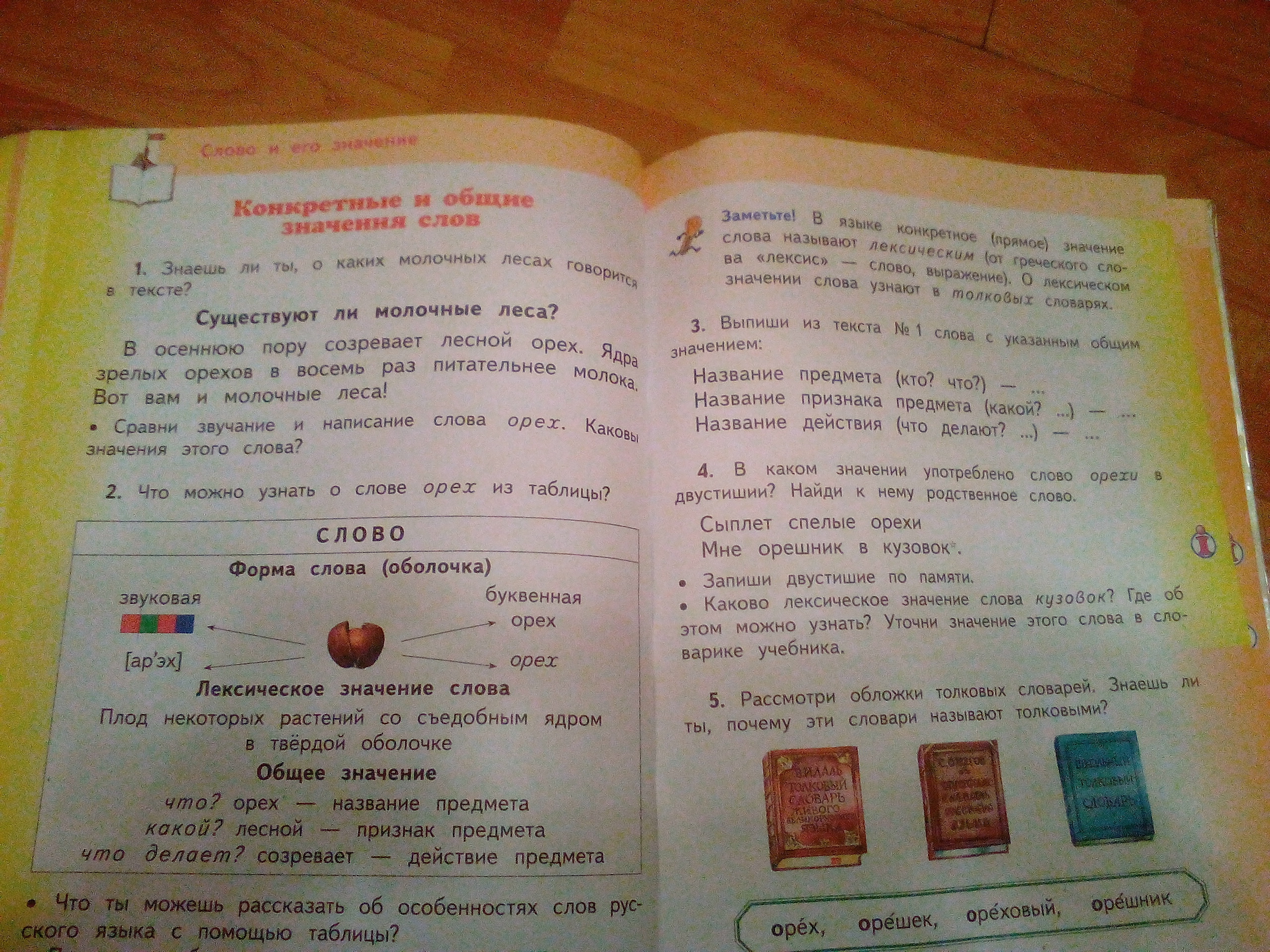 Запиши какое значение. Предложение со словом орех. Родственные слова к слову орех. Лексическое значение слова орех. Орех значение и звучание.