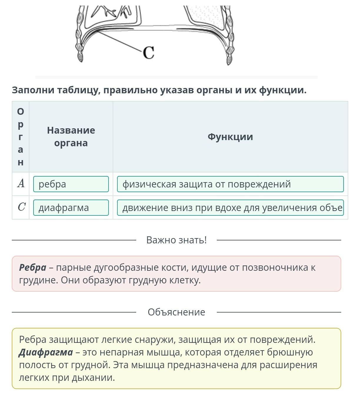 Этого в указанный орган