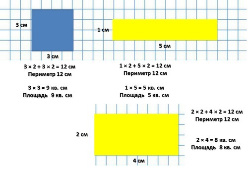 Нарисуй прямоугольник с периметром 12 см