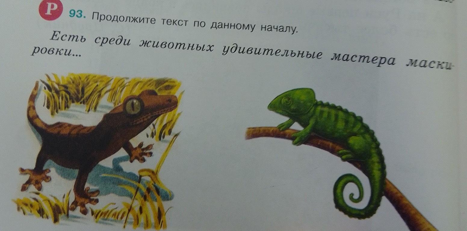 Продолжение текста. Продолжите текст по данному началу есть среди животных. Продолжите текст по данному началу. 903 Продолжите текст по данному началу есть среди животных. Продолжения слова быр.