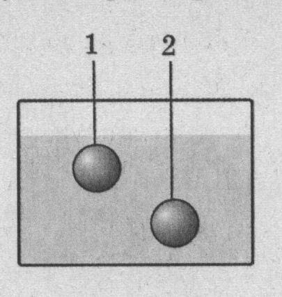 На какое из показанных на рисунке тел действует наибольшая выталкивающая сила