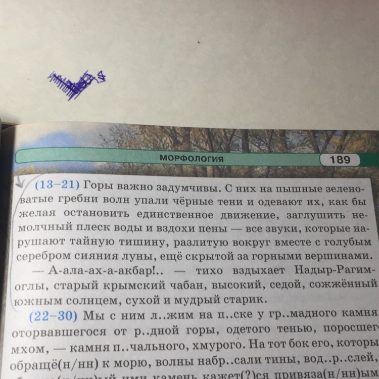 Текст 13 шелестя бурым настилом прошлогоднего. Горы важно задумчивы с них на пышные причастия. Горы важно задумчивы с них на пышные зеленоватые прилагательные.