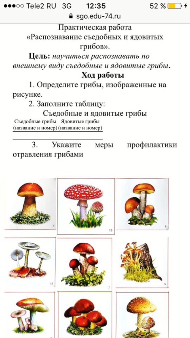 Грибы лабораторная. Биология 7 класс распознавание съедобных и ядовитых грибов. Таблица ядовитых и съедобных грибов. Лабораторная работа съедобные и несъедобные грибы 7. Съедобные и ядовитые грибы таблица 7 класс.