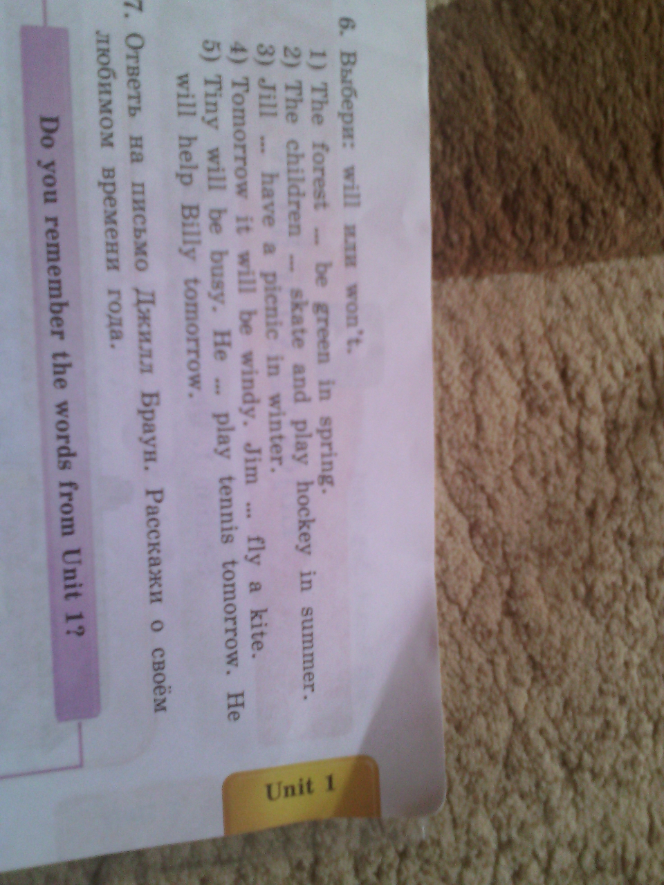 выбери will won t. Will wont в английском. Will won't правило. выбери will или won't 4 класс. 3 предложения с will wont.